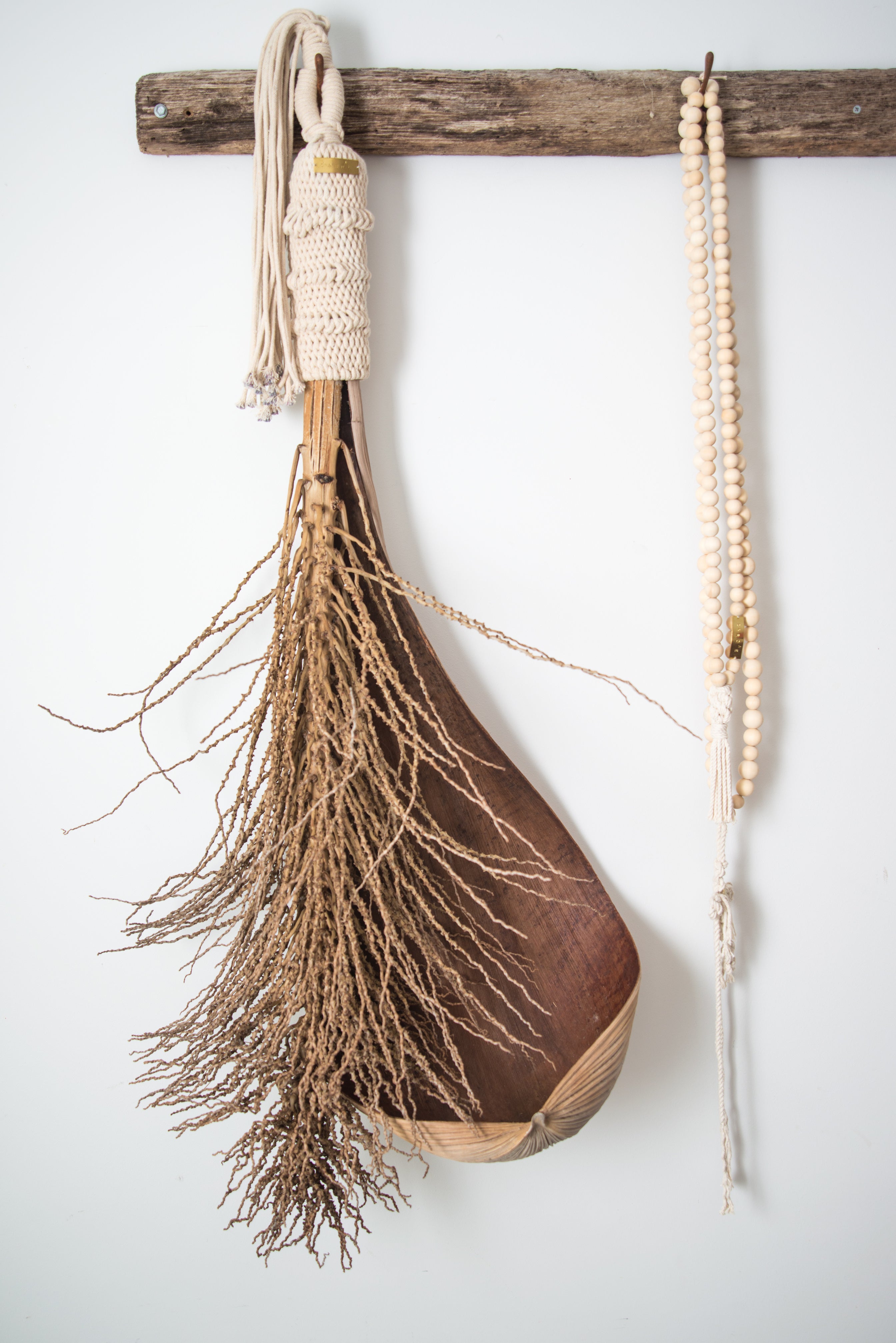 Octavie Seed Pod + Frond Hanger
